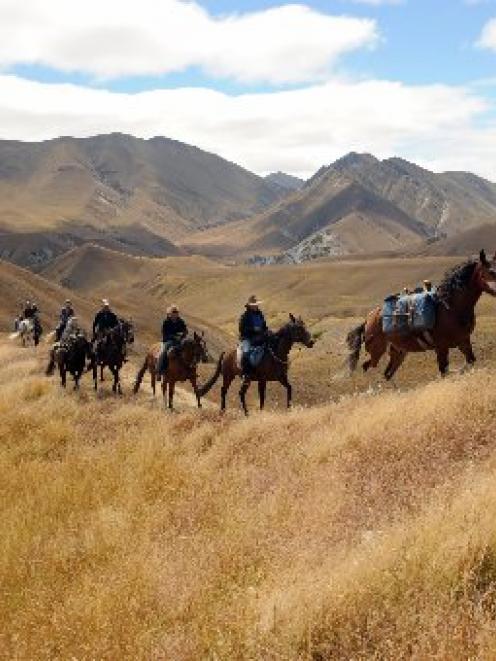 Horse-trekking has become a very popular and growing recreational activity. Photo by Stephen...