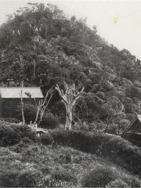 House belonging to early Fiordland explorer Richard Henry.