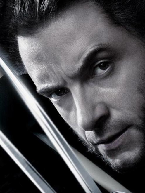 Hugh Jackman in his title role in X Men Origins: Wolverine. Photo supplied.