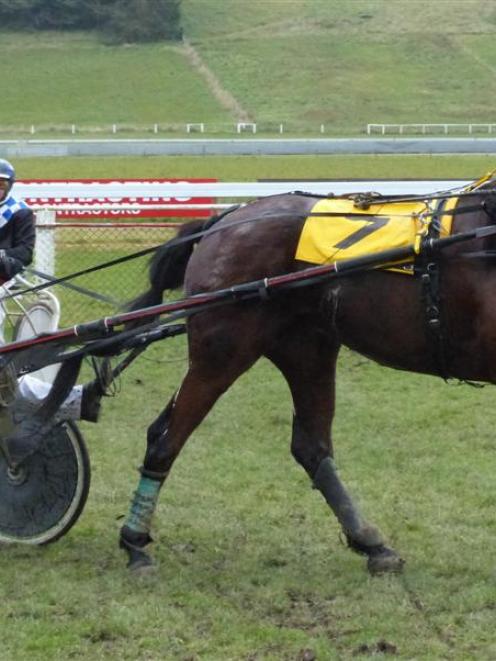 Idle Conn is back at Oamaru on Sunday after being successful on the same track with driver Katie...
