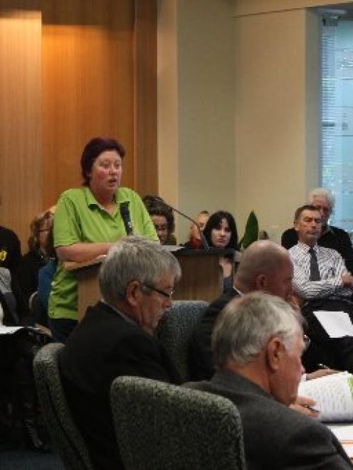 Invercargill resident Carol Jasperse speaks about the CBD revitalisation plan at an Invercargill...