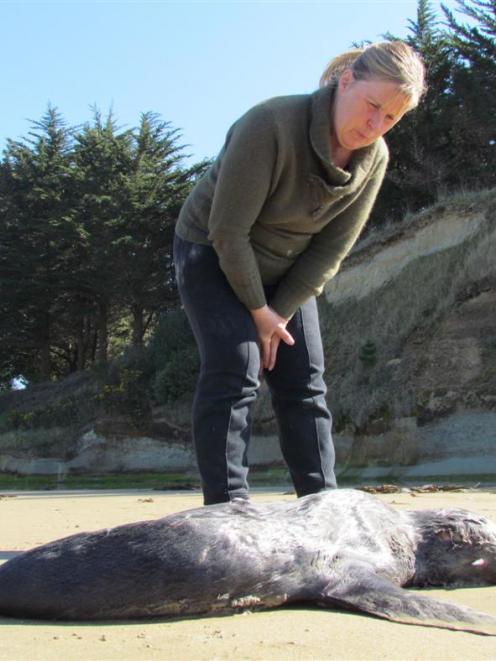 Irene Mitchell mourns the death of this seal which she saw being attacked by two dogs at All Day...