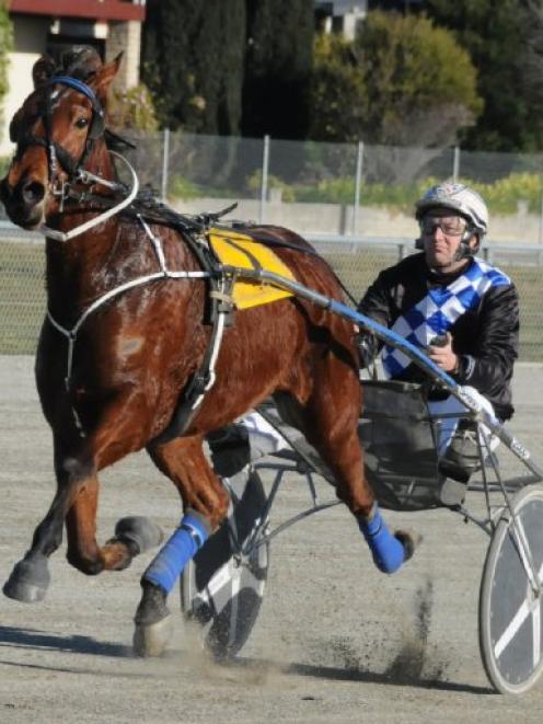 Irish Whisper, who continued his countdown to the Harness jewels with a trial win at Oamaru...