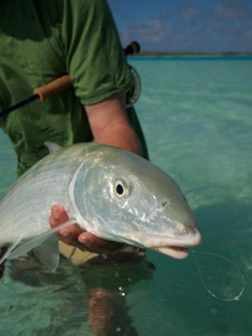 Itu Davey with a bonefish. Photo supplied.