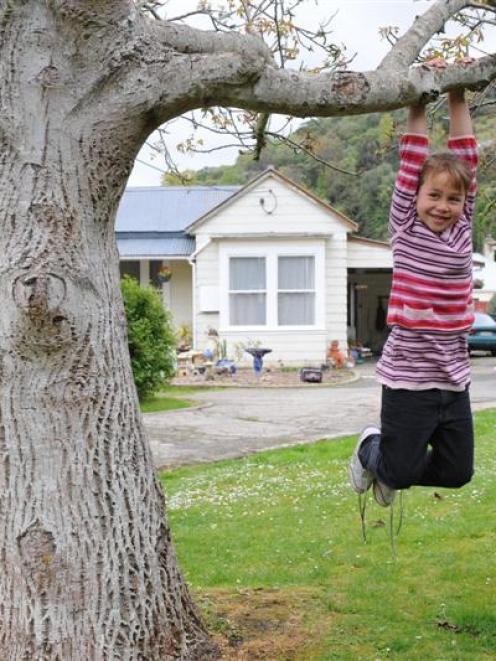 Jaedah Cook (7) swings in a tree at her family's lead-contaminated North Dunedin home. Photos by...