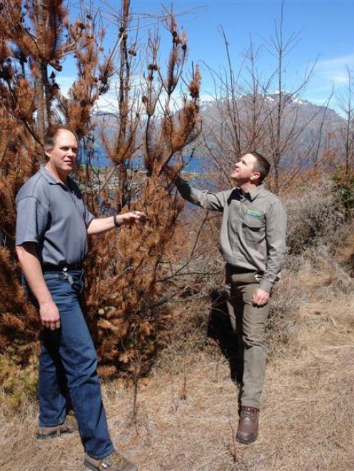 Jamie Cowan (right) and Peter Raal, both from the Department of Conservation, assess the dying...