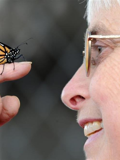 Jennifer Bradshaw with a male monarch butterfly, one of many she has tagged as part of a...