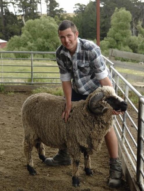 John McGlashan College pupil Will Gibson with one of his prized coloured merinos at his...