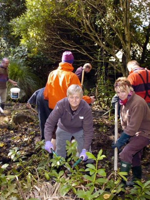 Joolz Carter-Moore and Jacqui Pittendreigh work with church volunteers to clear the overgrown...