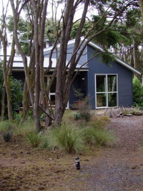 Joy and Charlie Pringle's house was sited to make the most of existing natives. Photo by Gillian...