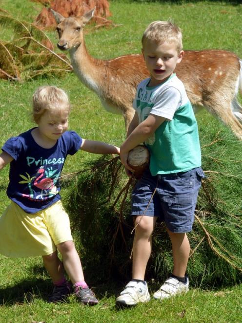 Julie (4) and Henry (6) Hodgson help harvest a Christmas tree in Dunedin yesterday. Photo by...