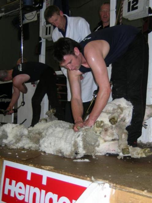 Justin Meikle glistens with sweat as he races through his final shear in the NZ Merino Shears...