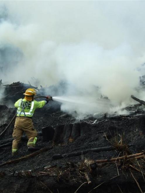 Kaitangata firefighter Michael Robson douses a hot spot in the suspicious forest fire on Wangaloa...