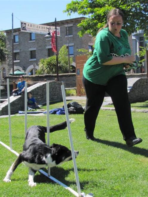 Kate Butler takes her border collie, Spring, through pole practice on Queenstown Village Green....