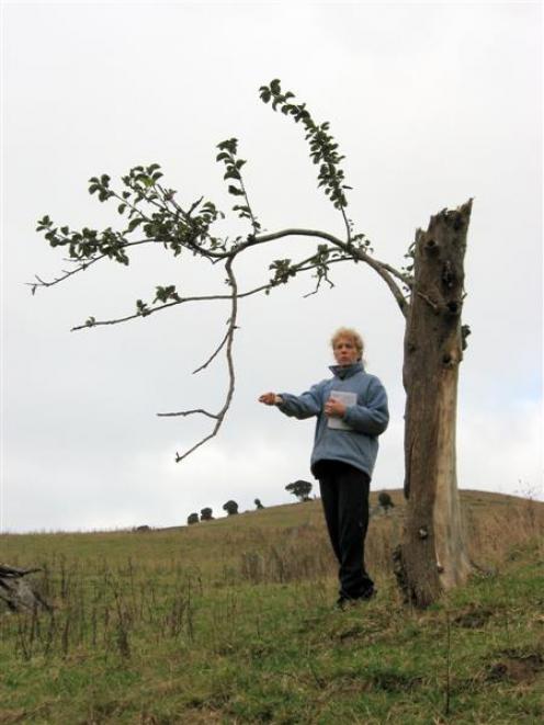 Katherine Raine beside an old apple tree in the Catlins. Photo supplied.