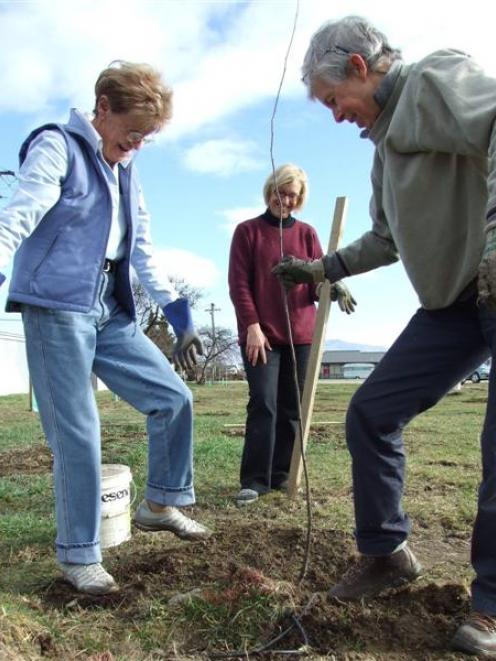 Keep Alexandra Clyde Beautiful group members (from left) Marian Bennetts, Karin Bowen and Sue...