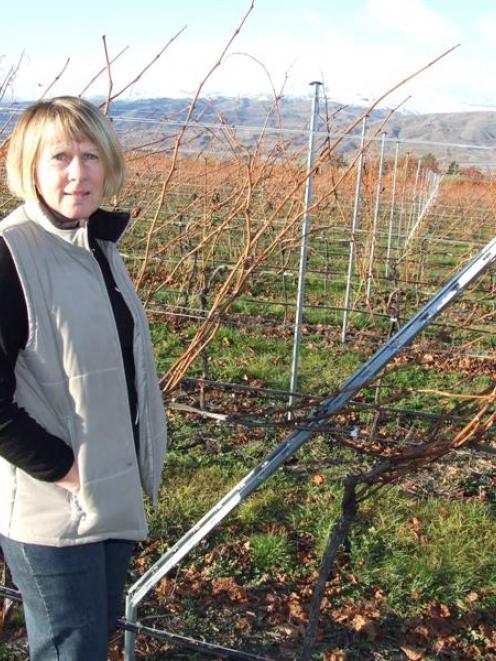 Kingsmill Wines Ltd co-owner Donna Abrams inspects damage to metal vineyard stakes bent by strong...