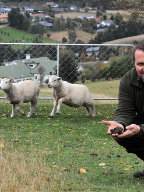 Kinmont property owner Chris Adams will be obliged to clean up after his sheep if the Dunedin...