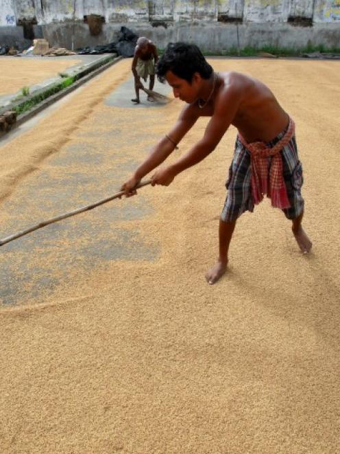 Labourers work at a rice mill on the outskirts of Agartala, capital of India's northeastern state...