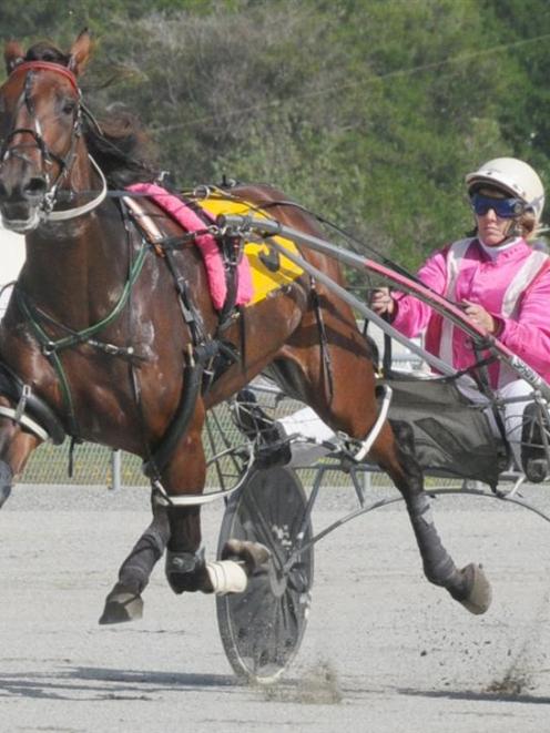 Lady Lozza, a last-start winner at Ascot Park who warrants respect in race 6 at Forbury Park...