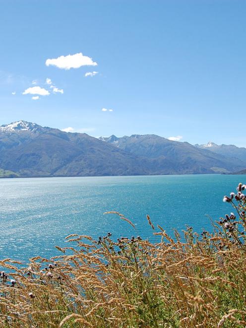 Lake Wanaka