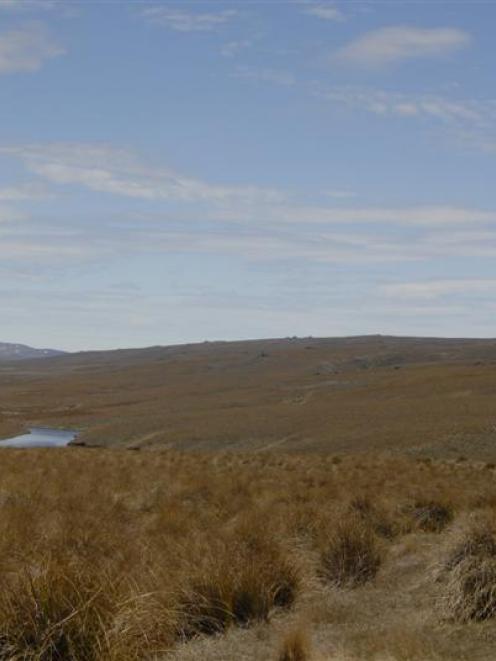 Lammermoor, the proposed site of Meridian Energy's Project Hayes. Photo by Stephen Jaquiery.