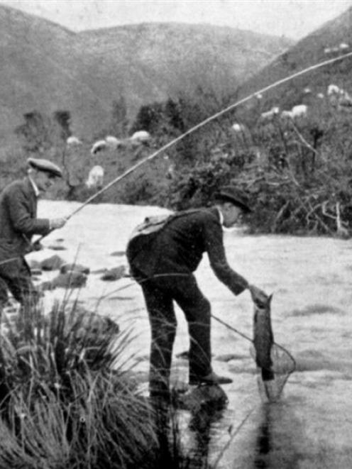 Landing a beauty: An 8lb trout caught in Silverstream by Mr Mackay of Roslyn. - Otago Witness, 19...