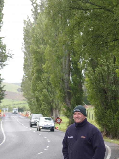 Lawrence community board member Brent Taylor with the Lombardy poplars that line State Highway 8...