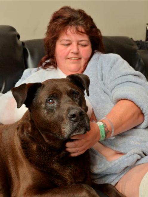 Lawrence woman Amanda Sheridan recovers at home with her chocolate Labrador-Rottweiler cross,...