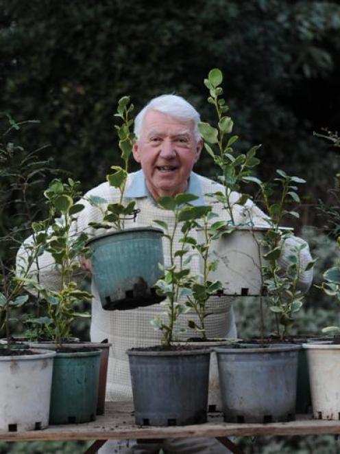 Les Cleveland with native trees destined to be planted at the wind-swept Woodhaugh Gardens in...