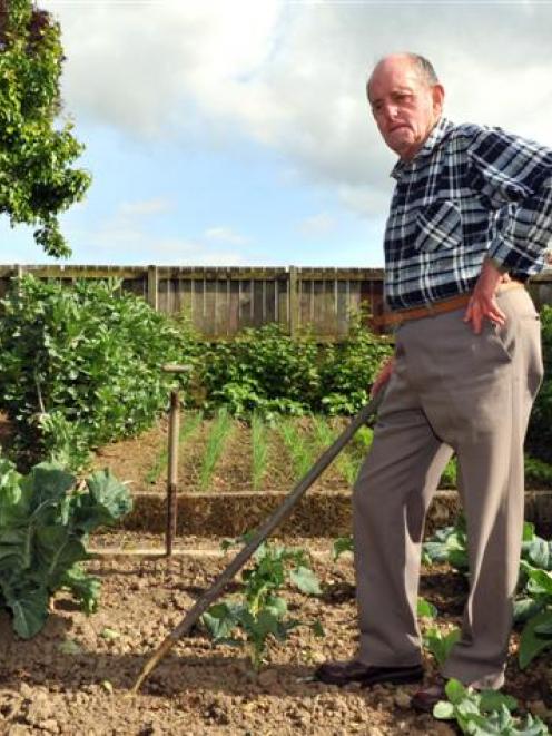 Lester Harvey tends to a vegetable garden, which he has maintained for the past five years, in...