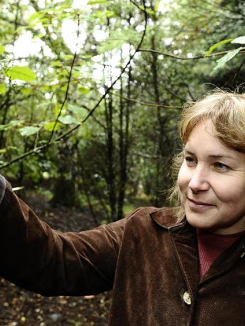 Lisa Burton, programme manager at the Otago Polytechnic School of Natural Resources, inspects a...