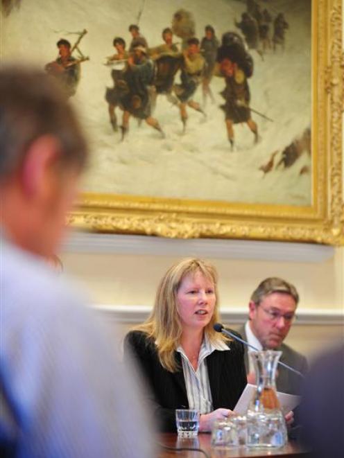 Lisburn House owner Olivia Richmond-Johnston, of Dunedin, addresses councillors during yesterday...