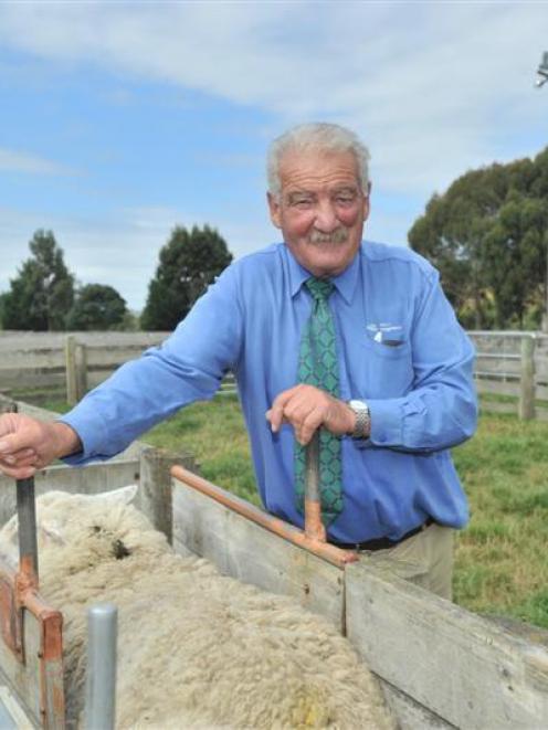 Long-serving PGG Wrightson stock agent Robin Gamble at the Allanton saleyards, near Dunedin....