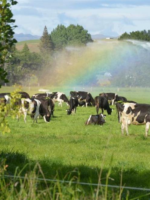Long-term prospects look good for the Fonterra Shareholders Fund. Photo by Stephen Jaquiery.