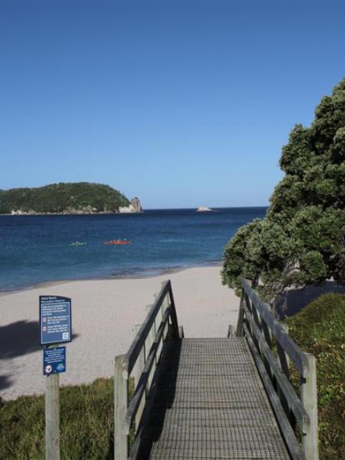 Looking down onto Hahei Beach.