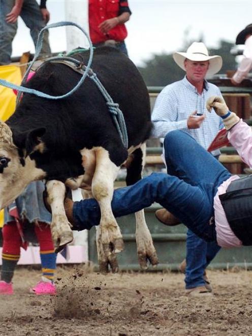 Luke Barnett, of Wanaka, loses the battle with his ride in the second division bull ride event at...