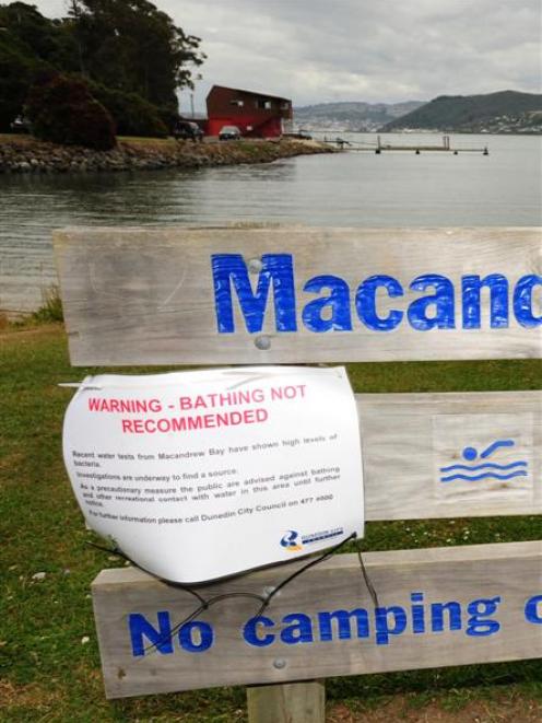 Macandrew Bay has been deemed unfit for recreational water use following detection of an...