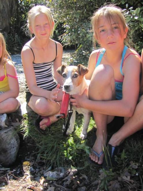Macca is reunited with the Gibson sisters (from left) Holly (6), Alyssa (11) and Caitlin (10) and...