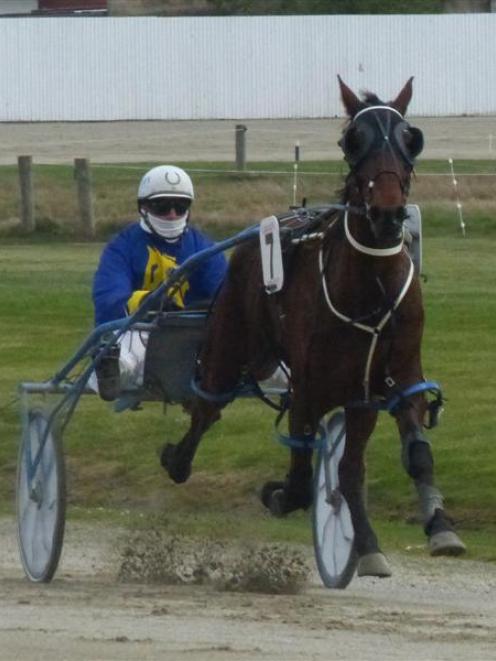 Maldini and Jonny Cox in tidy form at the Forbury Park trials yesterday. Photo by Matt Smith.