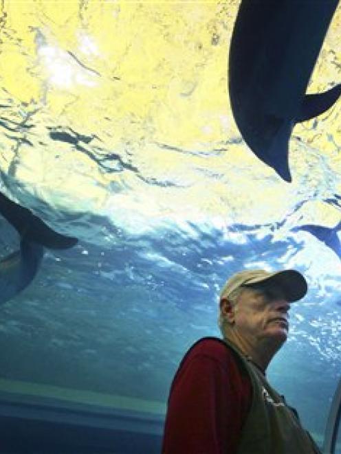 Mammal specialist Richard O'Barry, left, and son Lincoln watch dolphins at an aquarium during his...