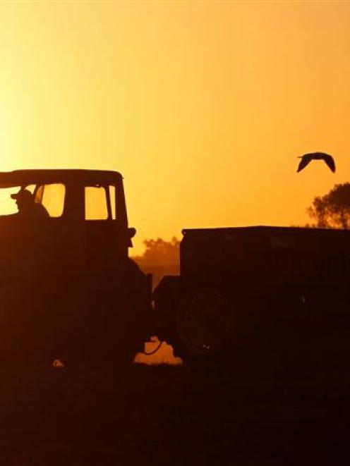 Many analysts expect record production of soybeans and corn in in Argentina, one of the world's...