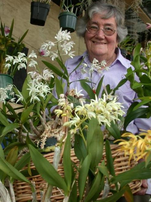 Margaret Harper prepares orchids for the North Otago Orchid Club show this weekend. Photo by...