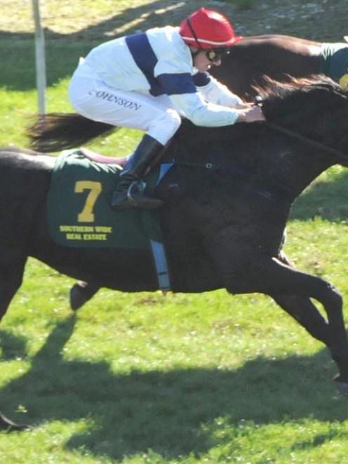 Margretta, who has won her last two starts, both on heavy tracks at Riccarton. Photo by Tayler...