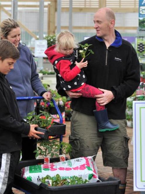 Mark and Kereen Power buy strawberry plants at Nichol's Garden Centre in Dunedin yesterday, with...