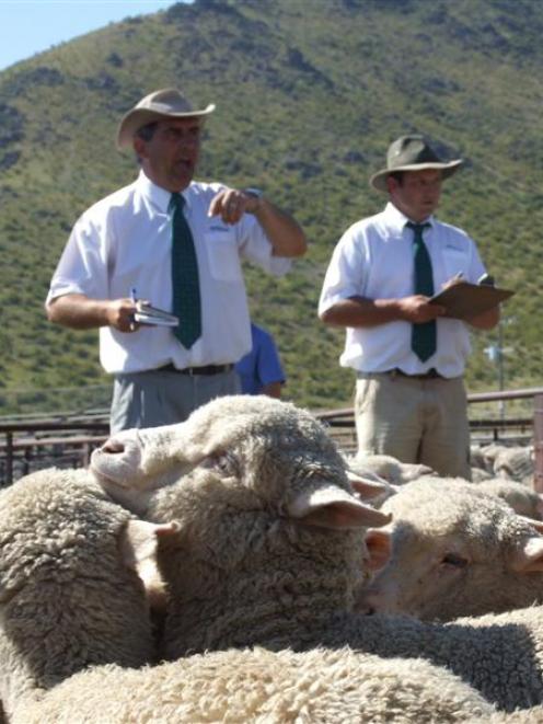 Mark Yeates (left) and Barry Fox, from PGG Wrightson, look for bids at the Omarama merino lamb...