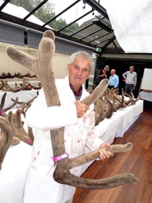 Max Winders, of Mamaku, holds one of his entries in the Elk and Wapiti Society of New Zealand's...