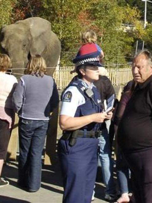 Members of the public view Jumbo the elephant in The Kensington pub car park in Dunedin yesterday...
