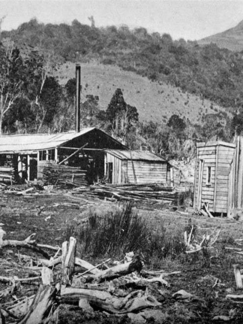 Messrs Simes’s sawmill near Mt Cargill.— Otago Witness, 1.3.1916. Copies of picture available...