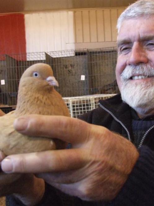 Mick Saunders displays a yellow West of England tumbler pigeon at the Oamaru Poultry Pigeon and...